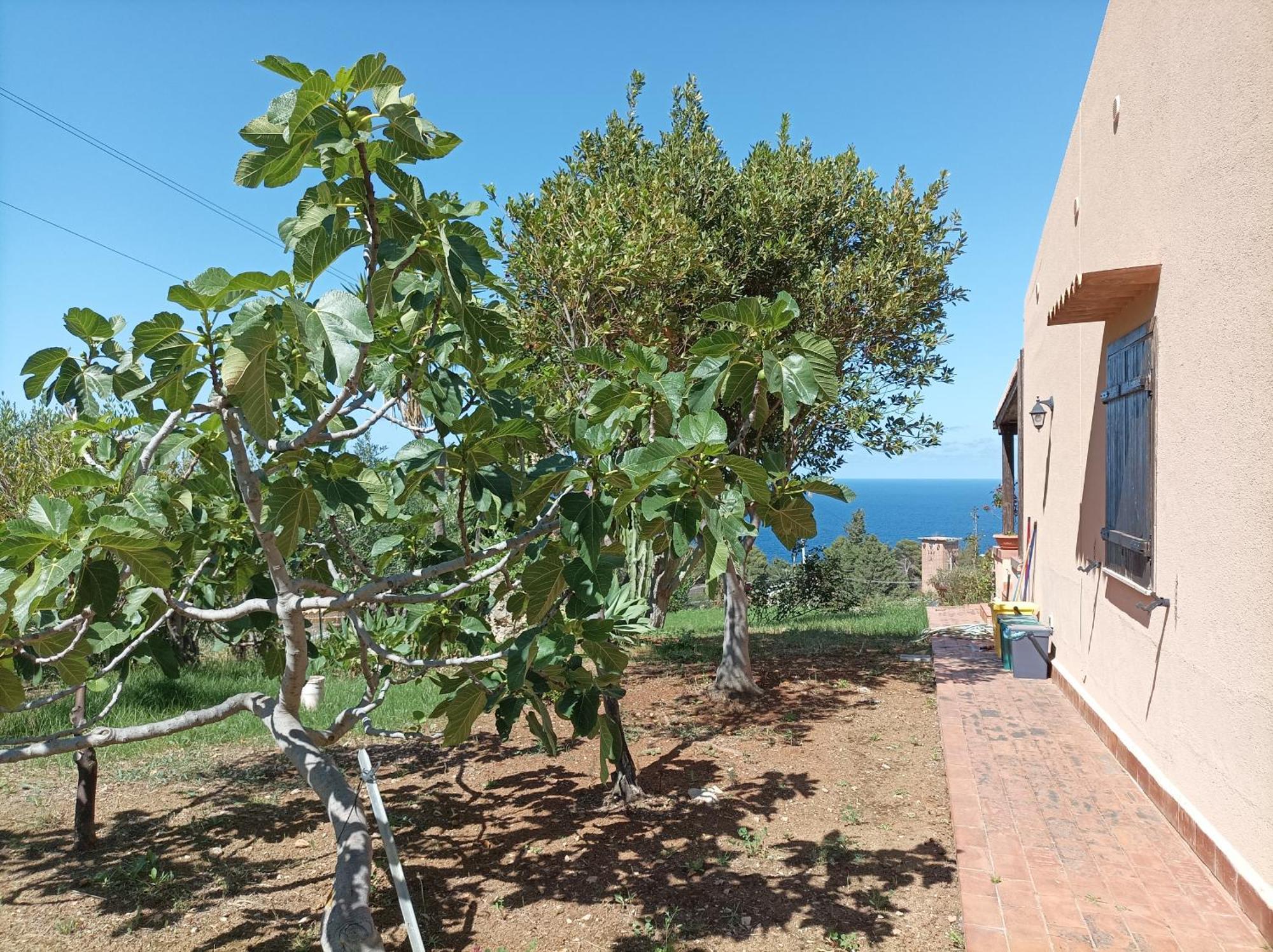 La Terrazza Su Pispisa Βίλα Castellammare del Golfo Εξωτερικό φωτογραφία